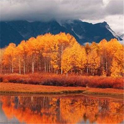 bsport体育在线登录下载手机版